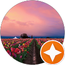 Yau Sim Mei profile picture